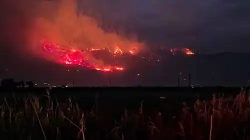 حرائق حماة