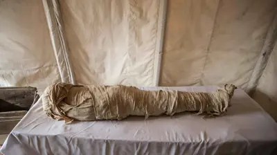 مومياء مصرية (تعبيرية)