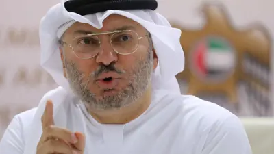 الدكتور أنور قرقاش