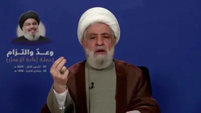 نعيم قاسم