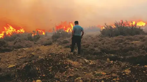تعبيرية