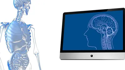 دراسة: المعدة قد تنقذ حياة مرضى الاضطرابات الحركية العصبية