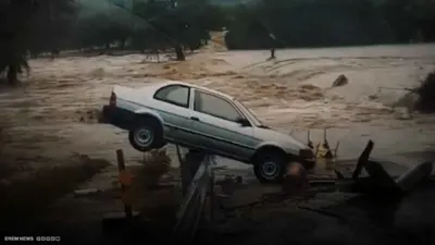 سيول تكساس
