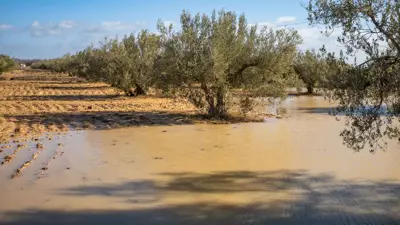 سيول جراء الأمطار في تونس