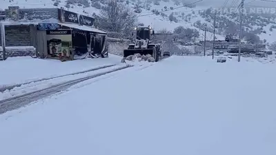 تعبيرية 