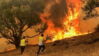 الجزائر.. توقيف 36 متورطًا بقتل شاب اتهم زورًا بإحراق الغابات