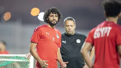 محمد النني