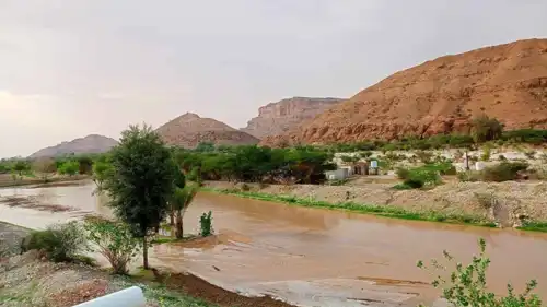 جانب من السيول