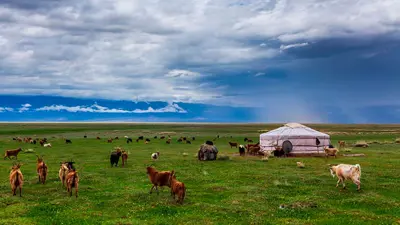 منغوليا.. تعرف على السياحة الصيفية في أولان باتور أكثر العواصم بردًا على وجه الأرض