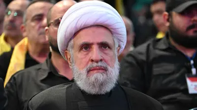نعيم قاسم