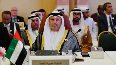 أنور قرقاش