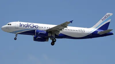 d130f175-5a9d-4200-94d5-2c31a7d32763