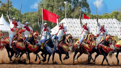 "التبوريدة" بالمغرب.. فن أصيل يسطع نجمه في المهرجانات والمواسم الشعبية‎‎