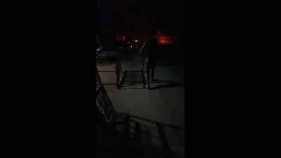 مسلحون في صحنايا