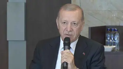 أردوغان: تركيا قد تدخل إسرائيل من أجل ردعها عن ممارساتها