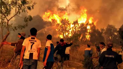 الجزائر.. اعترافات جديدة لمتورطين بقتل شاب اتهم زورًا بإحراق الغابات