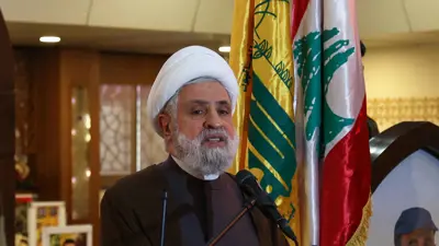 نعيم قاسم