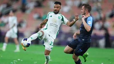 علي مجرشي