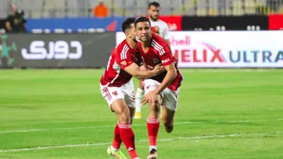 رضا سليم