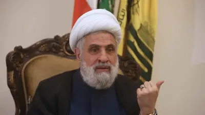 نعيم قاسم