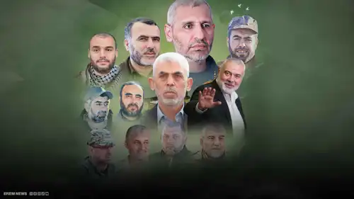 فيديو